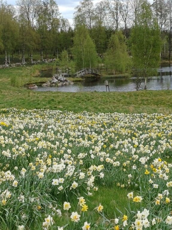 Medlemsbladet våren 2025