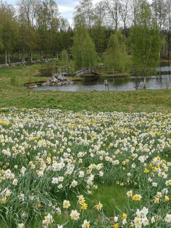 Utflykt till Fagerås